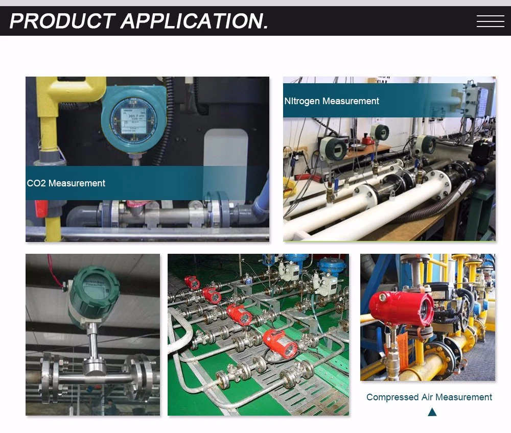 ANSI Flange Thermal Gas Flowmeter Gas Mass Flow Meter for Oxygen